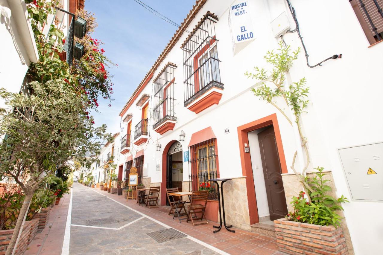 Hostal El Gallo Marbella Bagian luar foto